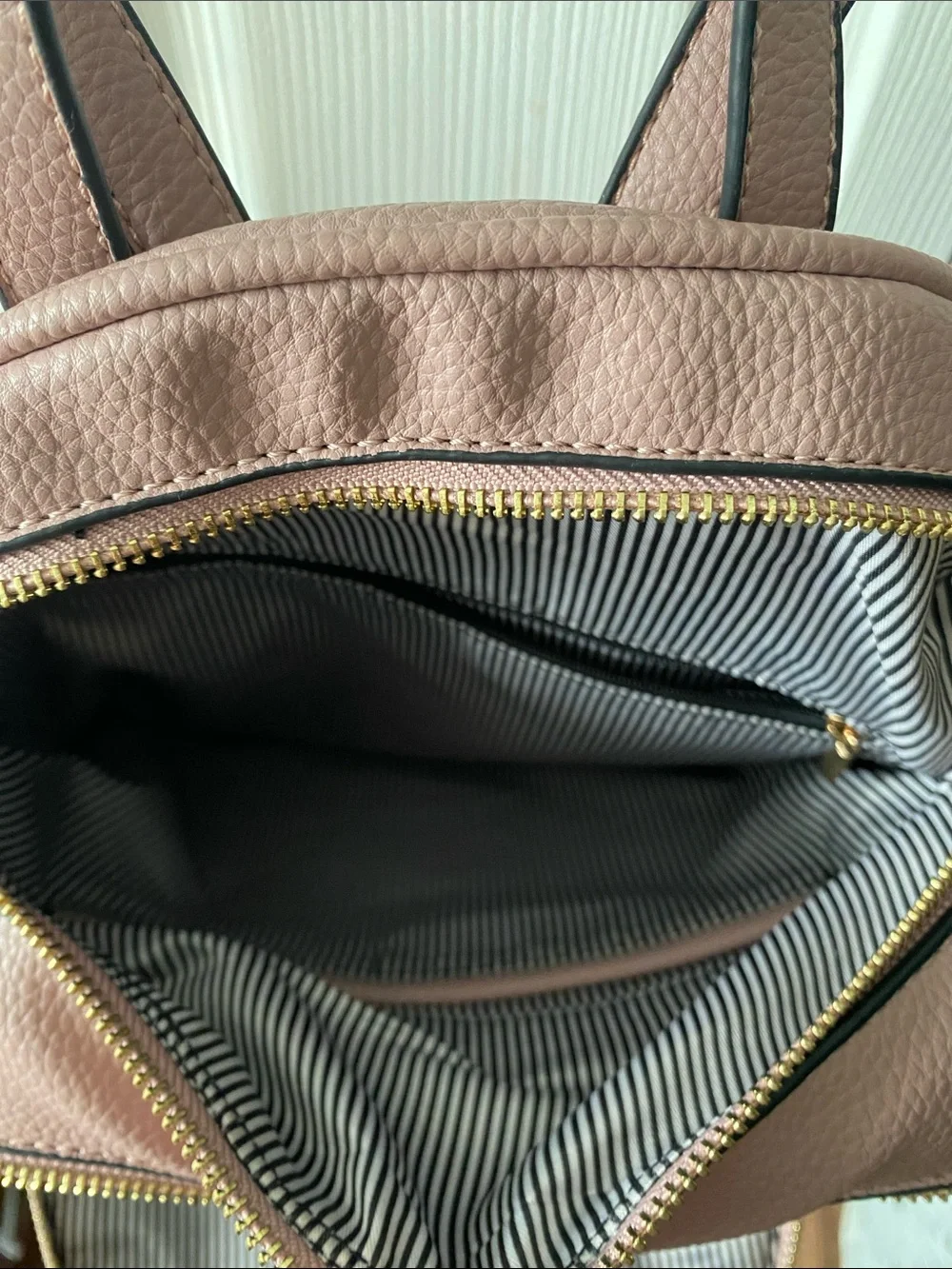 Blush Pink Mini Backpack with Gold Hardware and Striped Lining.